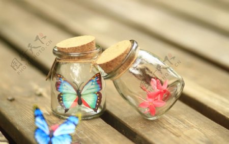 蝴蝶瓶子