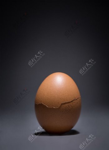 鸡蛋鸡蛋壳创意拍摄