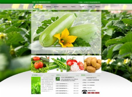 蔬菜种植企业网页