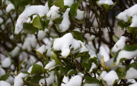 雪景