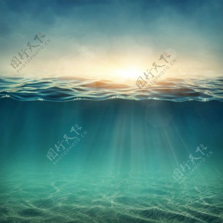 阳光下的海底世界