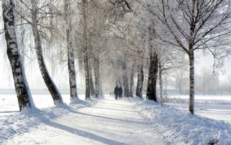 行走在雪地里的人