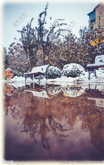 雪景