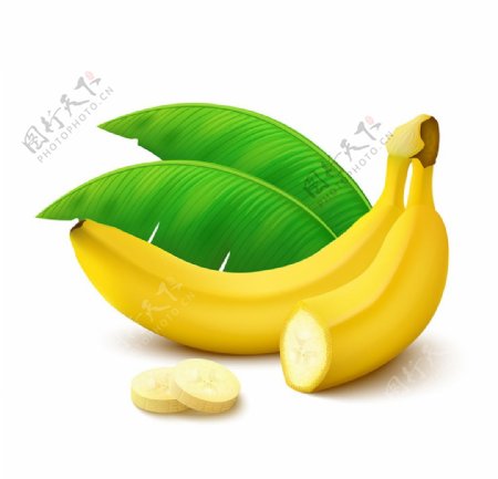 矢量香蕉水果