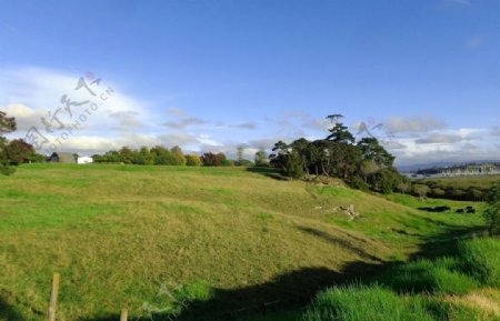 新西兰海滨农场风景