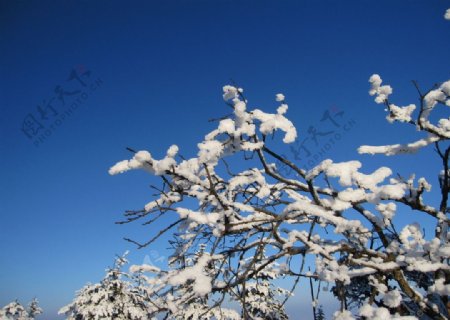 雪景