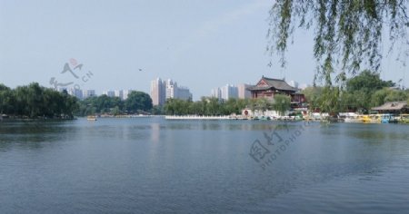 兴庆湖公园