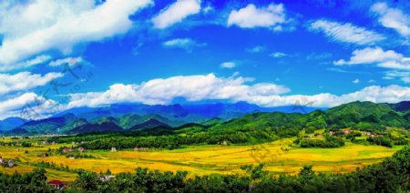 黄田秋色