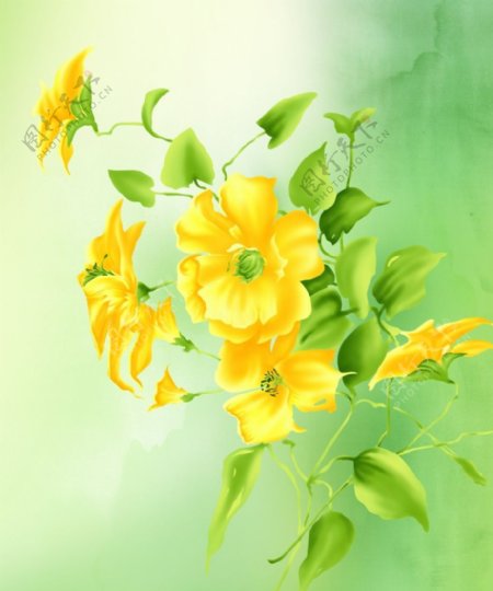 黄色唯美花朵背景底纹