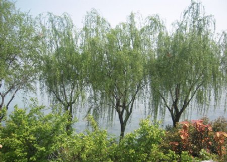 太湖风景