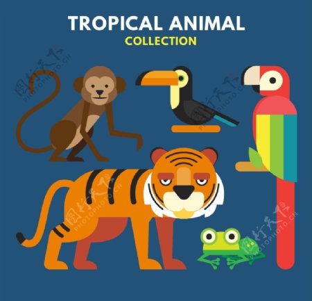 热带动物收集