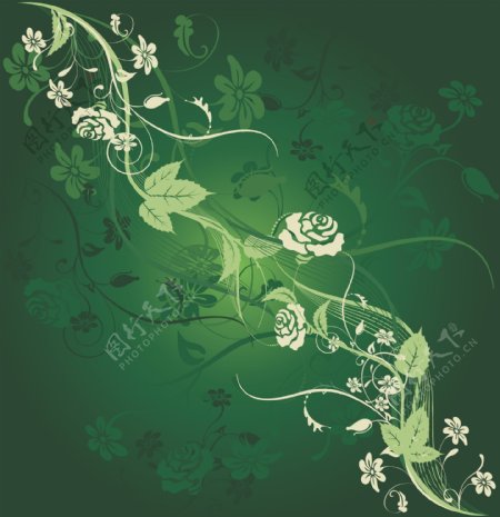 藤条花朵绿色背景