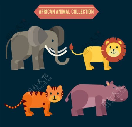 漂亮的非洲动物
