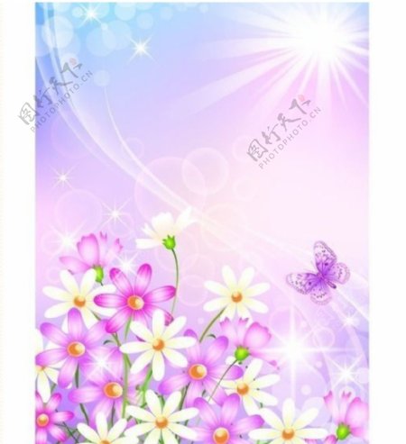 花卉插画明媚阳光下的白色菊花和