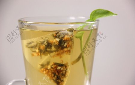玄米冬瓜绿茶
