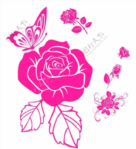 玫瑰花蝴蝶粉色