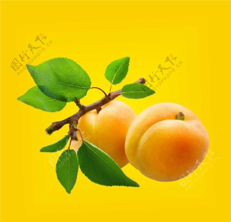 黄桃抠图