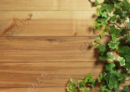 绿叶木板背景图