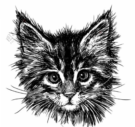 黑色手绘猫咪头像矢量素材