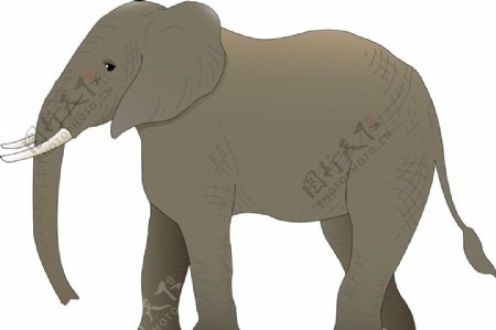 大象矢量图