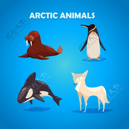南极卡通动物