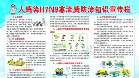H7N9知识宣传