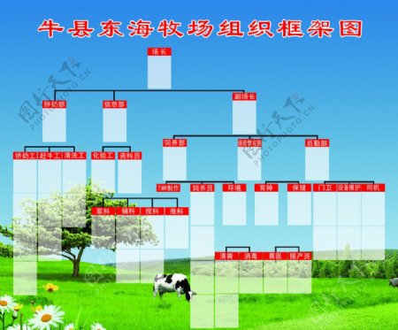 牛县东海牧场组织框架图