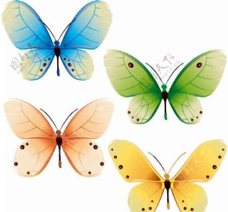 淡彩蝴蝶设计矢量素材