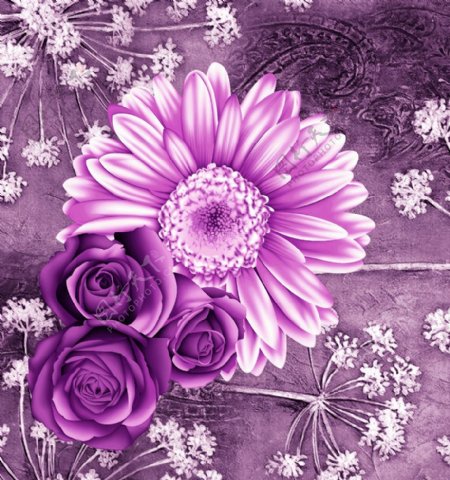 紫色花玫瑰