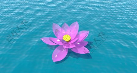 水晶荷花maya3d模型渲染