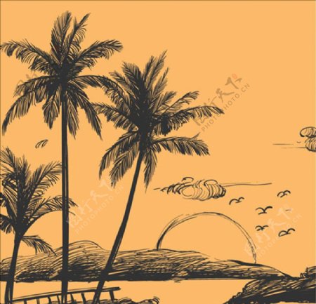 手绘素描海岛棕榈树风景