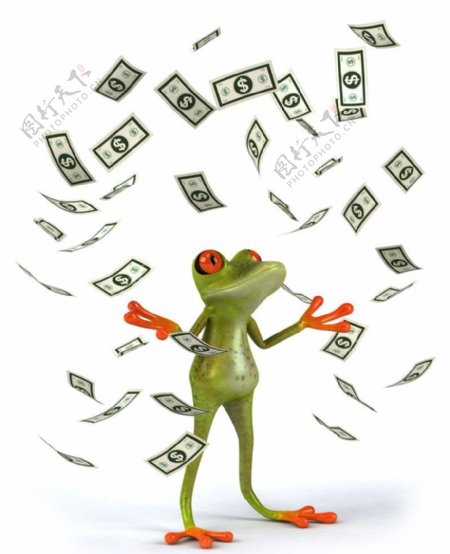 漫天飞舞的钞票和3d树蛙