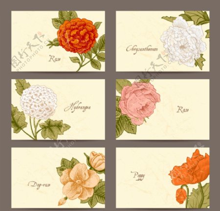复古花卉卡片矢量素材