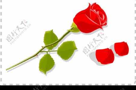 红色玫瑰花与花瓣矢量素材ai