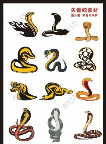 蛇年素材