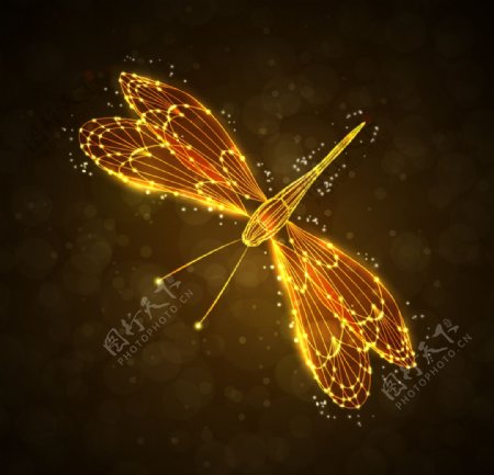 超美的光线蜻蜓矢量素材