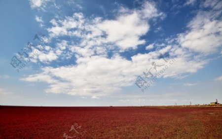 红海滩