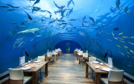 3d室内海洋鲨鱼餐厅