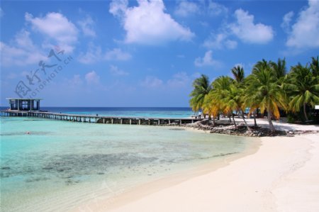 椰树海岛