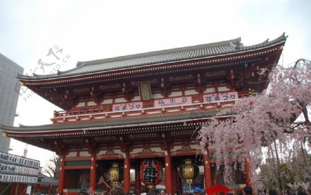 东京清水寺