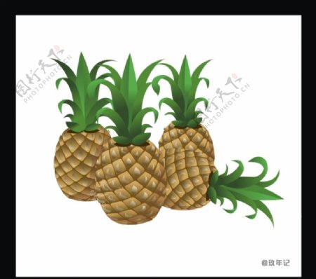 菠萝热带水果食品食用