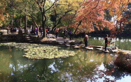 天平山红枫