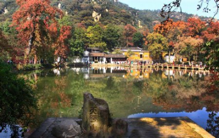 天平山红枫