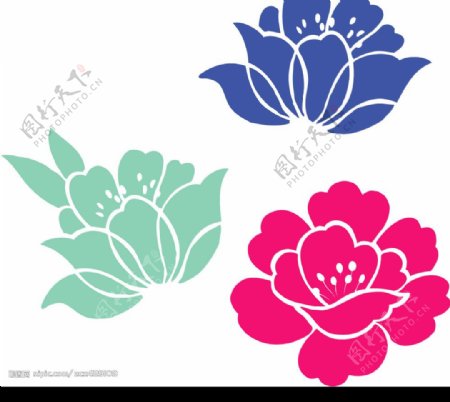 韩国花纹183植物花朵183潮流花卉