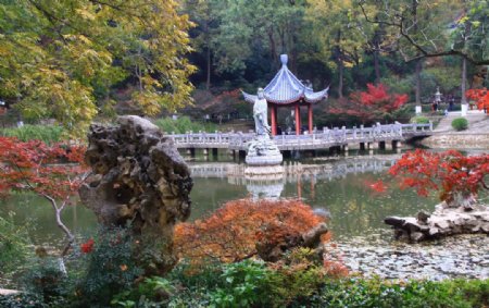 栖霞山红叶栖霞古寺