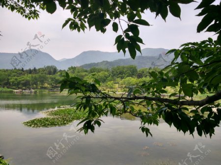 北京香山植物园河边美图