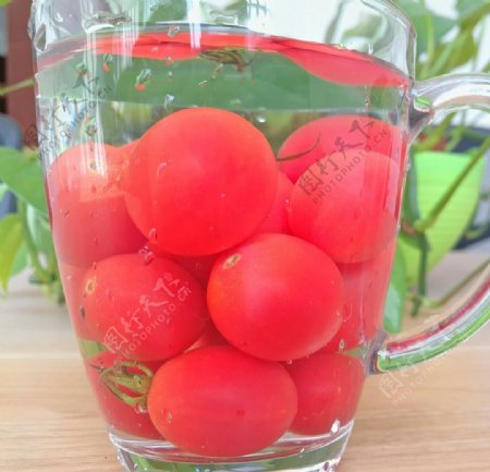 水中樱桃番茄
