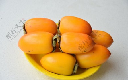 台湾柿子
