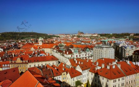 布拉格城市俯瞰