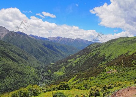 四姑娘山